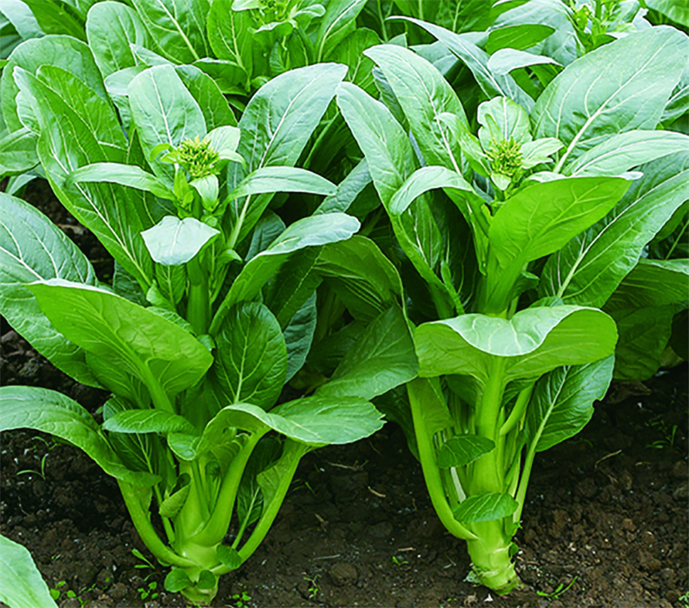 必赢亚州bwin·(中国区)官方网站