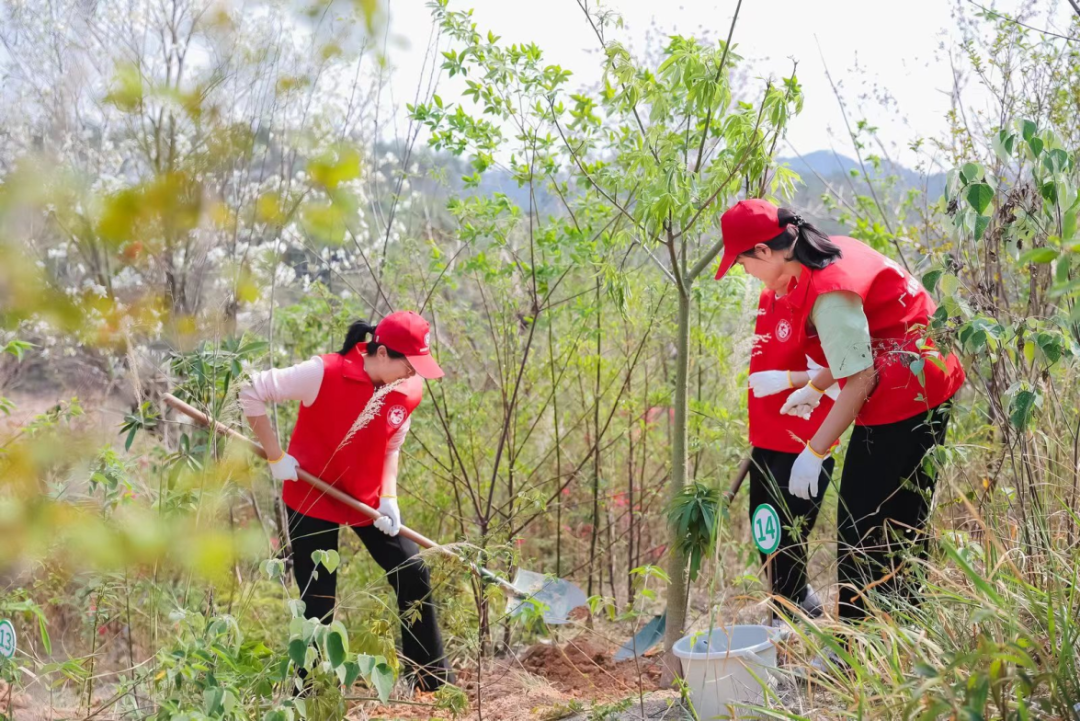 ��Ӯ����bwin��(�й���)�ٷ���վ